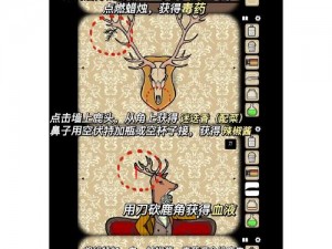 揭秘Rusty Lake Hotel第20关攻略：锈湖旅馆终极挑战解密指南