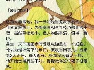 创新设计，打造私密专属空间——电梯深度开发 1v6 小说