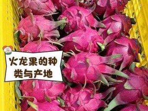 成品网站W灬源码火龙果【成品网站 W灬源码火龙果，你所不知道的秘密】