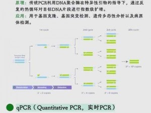 ttsservice是什么【ttsservice 是什么？它有什么作用？】