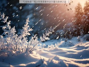 风卷残雪：揭示冬季景象中的力量与韵律之美