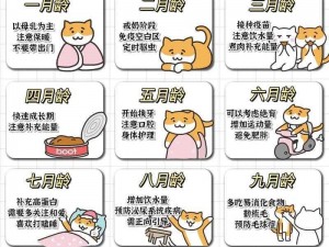 猫咪养成计划—如何科学地养成一只健康可爱的猫咪？