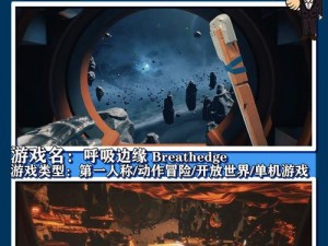 关于流浪者生存之旅：Steam平台攻略探索指南