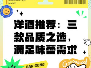 国精品产品区二区三区 999：时尚品质之选，满足你的多样需求