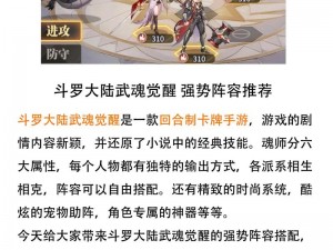 斗罗大陆武魂觉醒星斗记事2-3攻略：实战解析与高效过关阵容策略