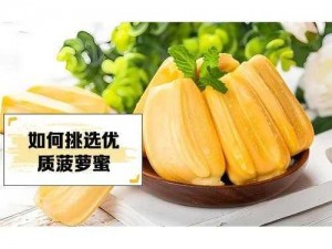 菠萝蜜国际通道一区麻豆 菠萝蜜国际通道一区麻豆：优质影片资源尽在这里