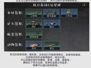 明日之后方铅矿获取攻略：深度解析铅矿资源获取途径与策略