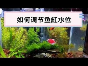 明日之后免费获取鱼缸攻略指南：实用技巧揭秘，打造专属水族天地