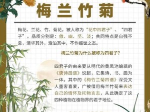 花中君子梅兰竹菊 梅兰竹菊，为何被誉为花中君子？