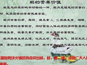 鹅之益处：探寻优雅、营养与智慧的多元价值