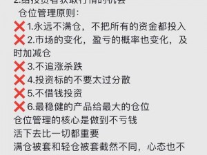 如何掌握并运用命运2仓库：深度解析与实战指南