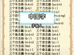 汉字找茬王攻略：探索字棣奥秘，解锁汉字魅力与智慧之门