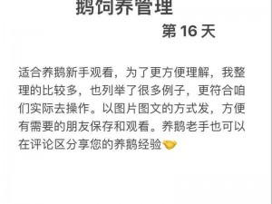 关于鹅鸭杀进不去房间的分析与解决方案探讨