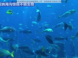 塞尔达传说蓝色巨虾的神秘冒险之旅：深海探险与挑战之旅的开始