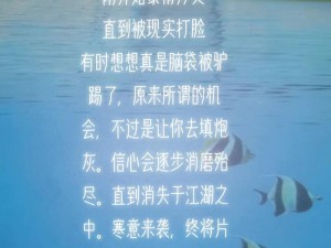 抖音江湖身不由己之歌：一曲诠释现实生活的旋律