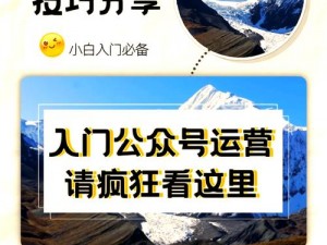 公主坚持住的电脑版下载与安装全攻略：步骤详解及实用技巧分享