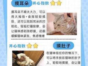 轻松解压：猫咪安装配置指南：从入门到精通的详细步骤说明