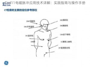 Cod11电磁脉冲应用技术详解：实践指南与操作手册