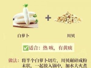 秘籍揭秘：萝卜2中白萝卜的神奇功能与实用作用解析