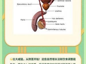 青春期男生变大变粗的秘诀，你知道吗？