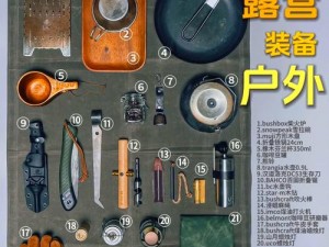 荒野行动捡拾物品与装备获取攻略：实用方法指南帮你快速积累物资与装备