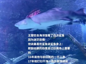 关于珊瑚岛大白鲨的垂钓地点探索之旅的精彩故事