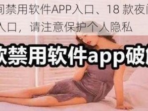 18款夜间禁用软件APP入口、18 款夜间禁用软件 APP 入口，请注意保护个人隐私