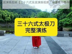 三十六式实战演练视频【三十六式实战演练视频：快速提升格斗能力的秘籍】