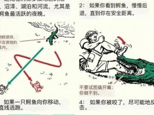 光荣使命双排：实战救援秘籍分享——快速救队友技巧详解