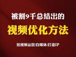 提高视频帧率技术：优化视频流畅度的关键策略探讨