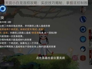 闹闹天宫小白龙连招攻略：实战技巧揭秘，掌握连招制胜秘诀