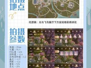 甜甜萌物语303话社团普查高分攻略：策略搭配玩转萌萌乐园