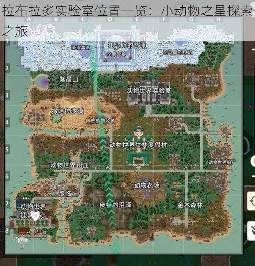 拉布拉多实验室位置一览：小动物之星探索之旅