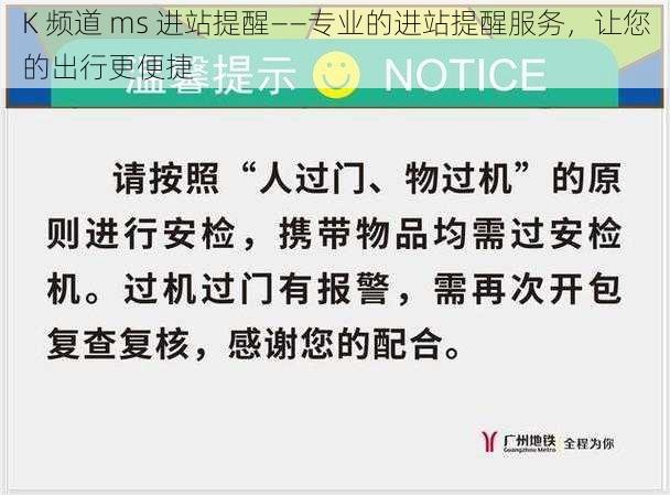 K 频道 ms 进站提醒——专业的进站提醒服务，让您的出行更便捷