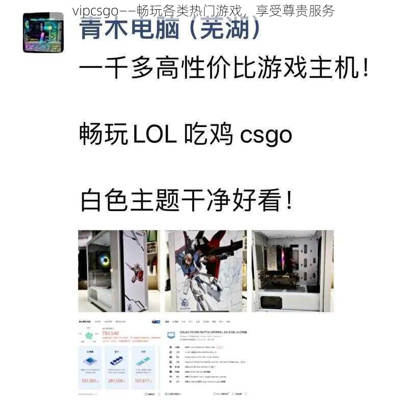 vipcsgo——畅玩各类热门游戏，享受尊贵服务