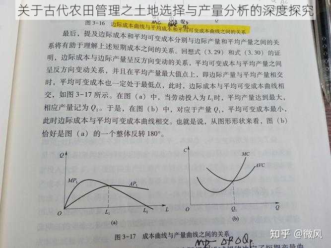 关于古代农田管理之土地选择与产量分析的深度探究