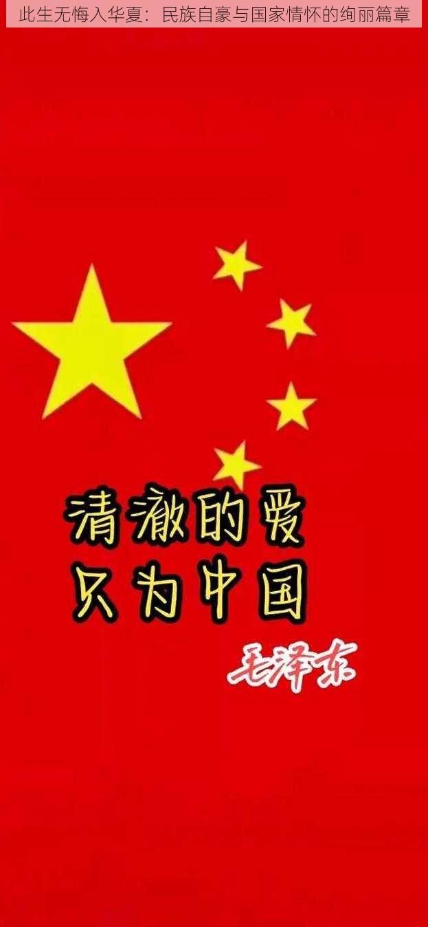 此生无悔入华夏：民族自豪与国家情怀的绚丽篇章