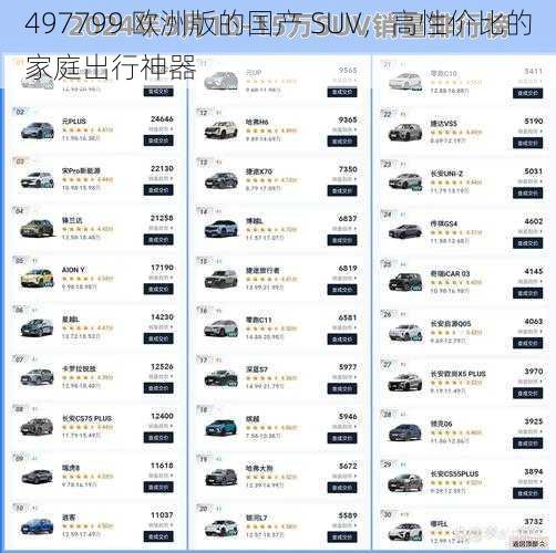 497799 欧洲版的国产 SUV，高性价比的家庭出行神器