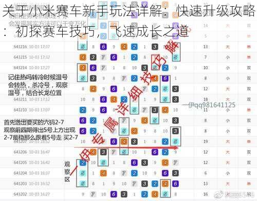 关于小米赛车新手玩法详解：快速升级攻略：初探赛车技巧，飞速成长之道