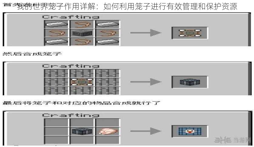 我的世界笼子作用详解：如何利用笼子进行有效管理和保护资源