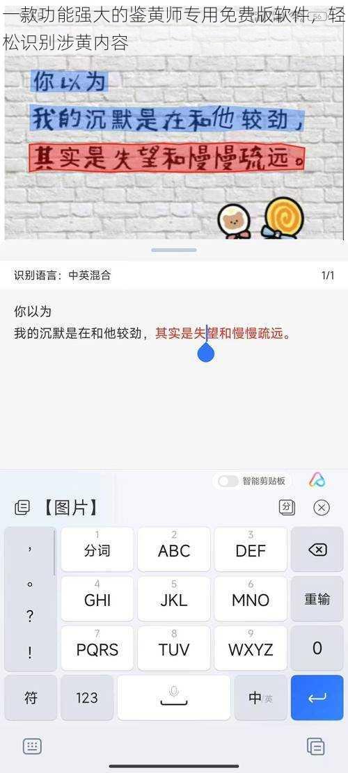 一款功能强大的鉴黄师专用免费版软件，轻松识别涉黄内容