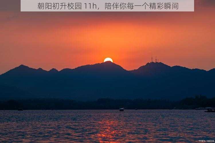 朝阳初升校园 11h，陪伴你每一个精彩瞬间