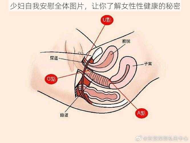 少妇自我安慰全体图片，让你了解女性性健康的秘密