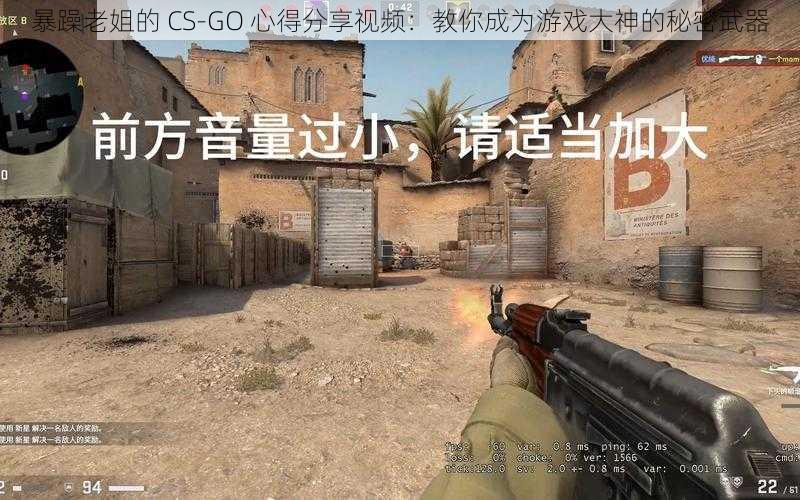 暴躁老姐的 CS-GO 心得分享视频：教你成为游戏大神的秘密武器