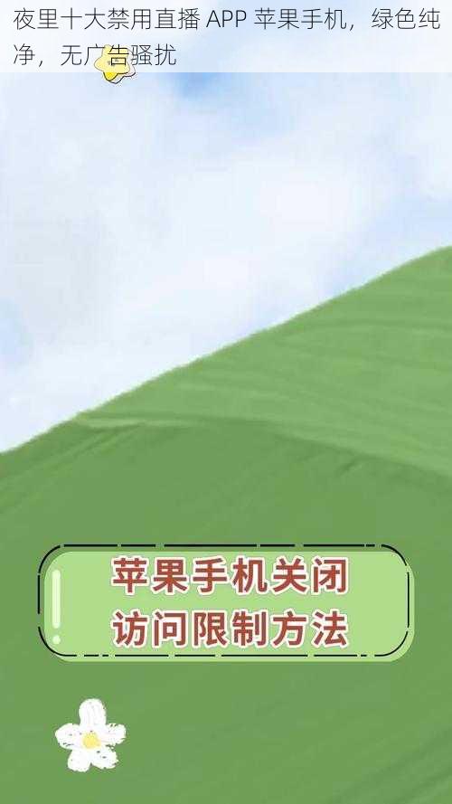 夜里十大禁用直播 APP 苹果手机，绿色纯净，无广告骚扰