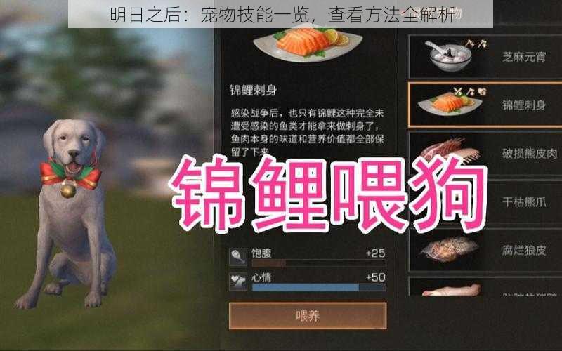 明日之后：宠物技能一览，查看方法全解析