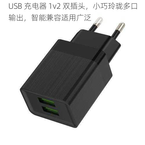 USB 充电器 1v2 双插头，小巧玲珑多口输出，智能兼容适用广泛