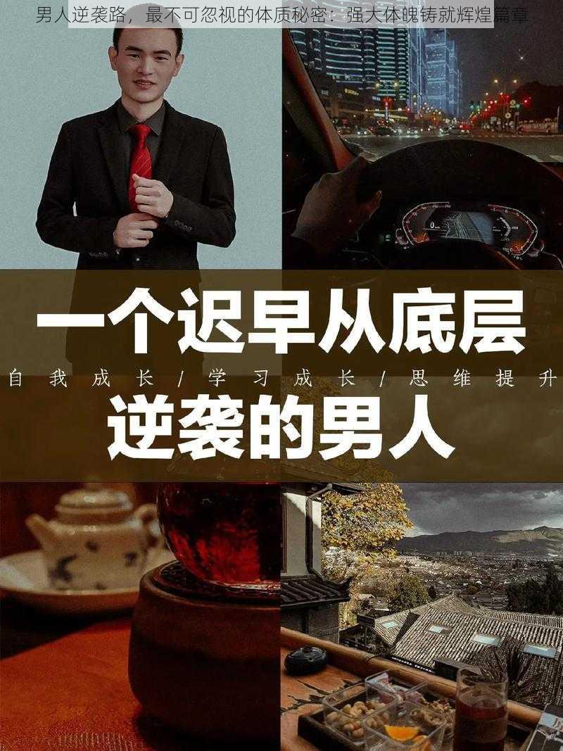 男人逆袭路，最不可忽视的体质秘密：强大体魄铸就辉煌篇章