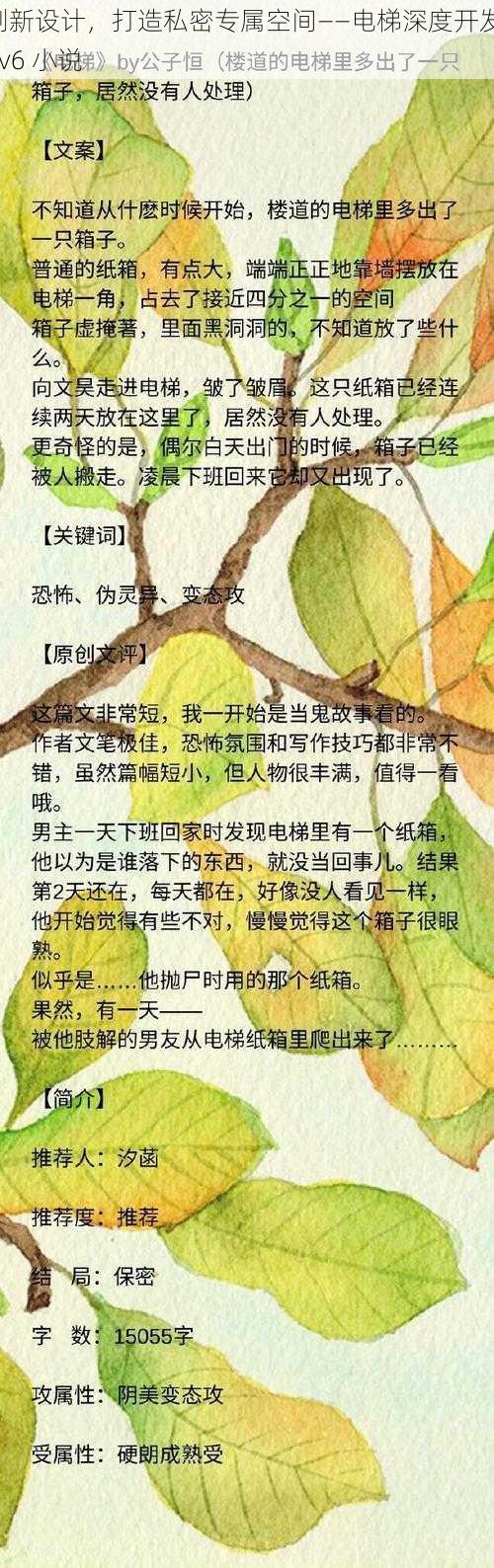 创新设计，打造私密专属空间——电梯深度开发 1v6 小说