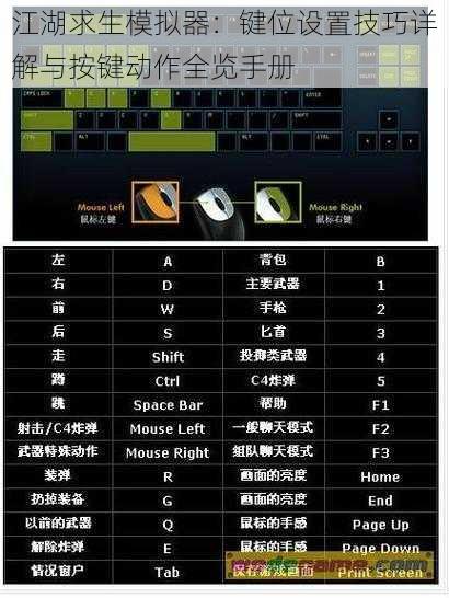 江湖求生模拟器：键位设置技巧详解与按键动作全览手册